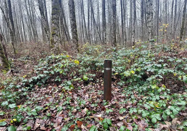 Photo 3 of Land for sale at 1230 Silverbrook Rd, Randle, WA 98377 | MLS# NWM2457716 | Listing updated on 2026-09-17