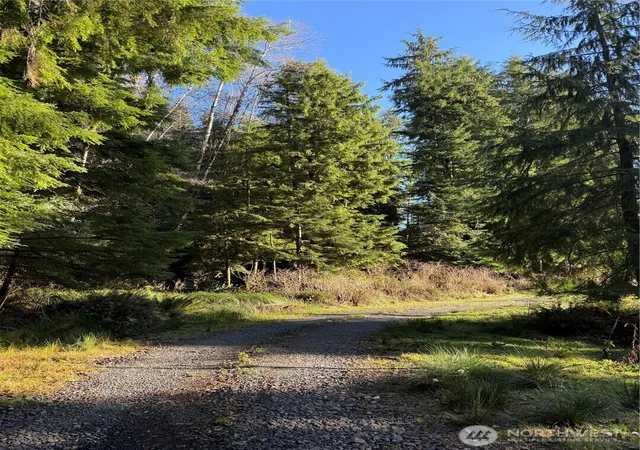 Photo 3 of Land for sale at 70 Dionne Ln, South Bend, WA 98586 | MLS# NWM2457885 | Listing updated on 2026-09-17