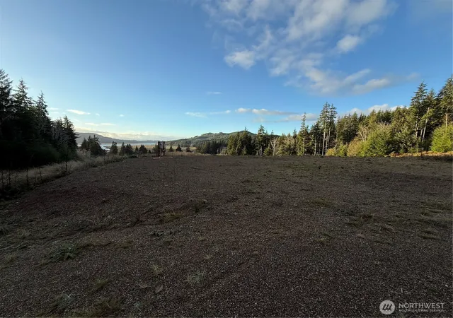 Photo 4 of Land for sale at 92 Dionne Ln, South Bend, WA 98586 | MLS# NWM2457886 | Listing updated on 2026-09-17