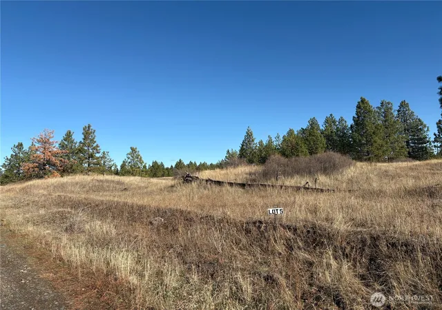 Land for sale at 35390 Prairie Ln N #Lot 5, Creston, WA 99117 | MLS# NWM2458226
