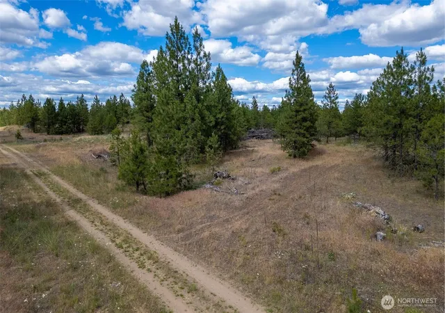 Photo 3 of Land for sale at 35410 Prairie Ln N #Lot 4, Creston, WA 99117 | MLS# NWM2458246 | Listing updated on 2026-09-17