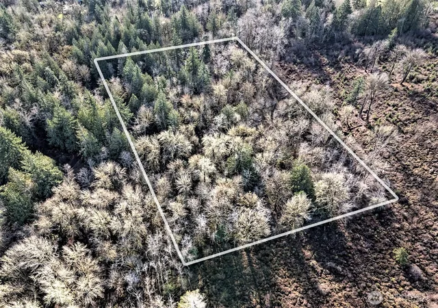 Photo 3 of Land for sale at 0 E Daniels Rd, Shelton, WA 98584 | MLS# NWM2458259 | Listing updated on 2026-10-01