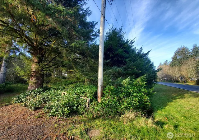 Photo 2 of Land for sale at 407 Mount Olympus Ave SE, Ocean Shores, WA 98569 | MLS# NWM2458280 | Listing updated on 2026-10-09