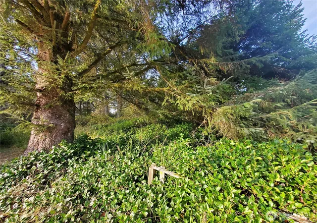 Photo 4 of Land for sale at 407 Mount Olympus Ave SE, Ocean Shores, WA 98569 | MLS# NWM2458280 | Listing updated on 2026-10-09