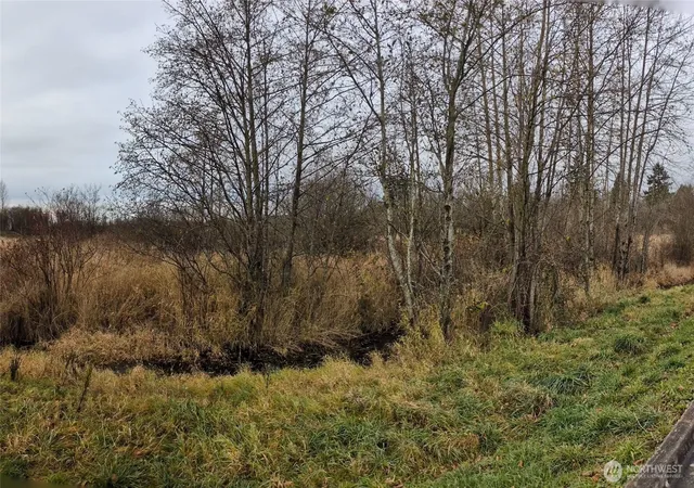 Photo 1 of Land for sale at 0 2nd Avenue, Ferndale, WA 98248 | MLS# NWM2458290 | Listing updated on 2026-09-17