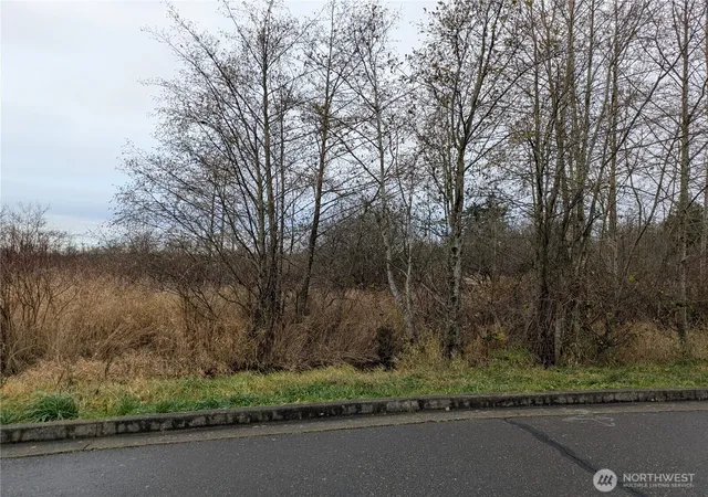 Photo 2 of Land for sale at 0 2nd Avenue, Ferndale, WA 98248 | MLS# NWM2458290 | Listing updated on 2026-09-17