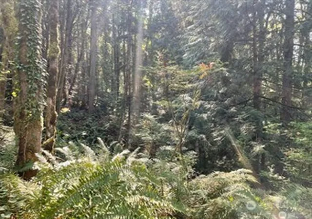 Photo 3 of Land for sale at 0 Melcher St, Port Orchard, WA 98366 | MLS# NWM2458297 | Listing updated on 2026-09-17