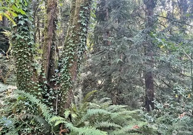 Photo 4 of Land for sale at 0 Melcher St, Port Orchard, WA 98366 | MLS# NWM2458297 | Listing updated on 2026-09-17