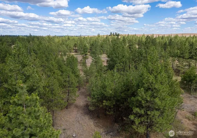 Photo 3 of Land for sale at 35430 Prairie Ln N #Lot 3, Creston, WA 99117 | MLS# NWM2458298 | Listing updated on 2026-09-17
