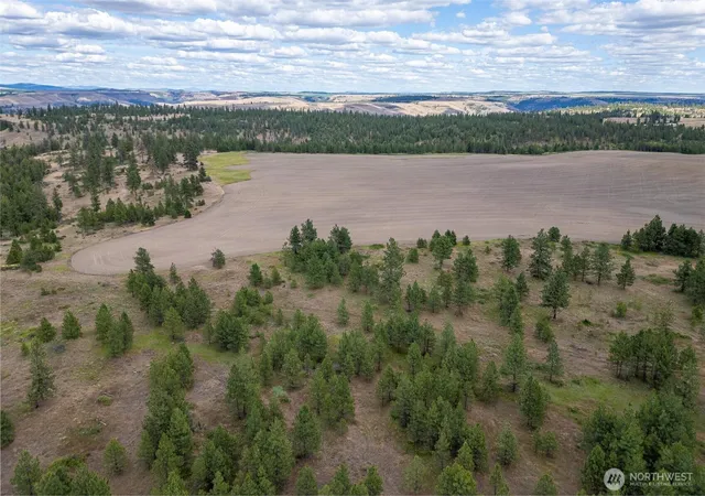 Photo 3 of Land for sale at 35470 Prairie Ln N #Lot 1, Creston, WA 99117 | MLS# NWM2458305 | Listing updated on 2026-09-17