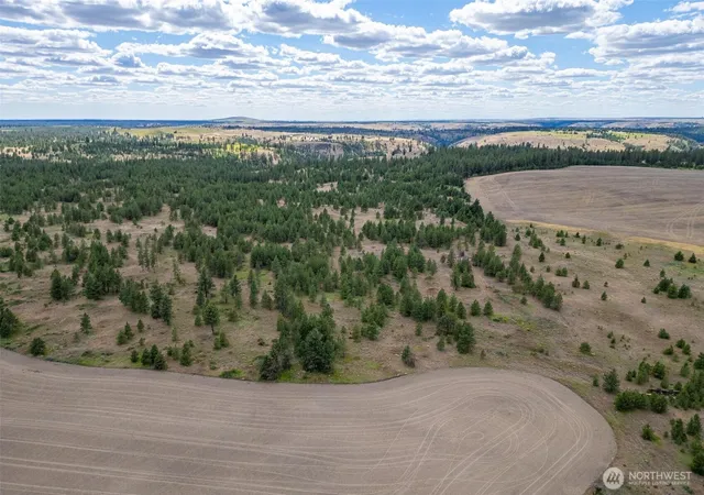 Photo 4 of Land for sale at 35470 Prairie Ln N #Lot 1, Creston, WA 99117 | MLS# NWM2458305 | Listing updated on 2026-09-17