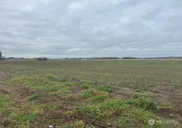 Photo 3 of Land for sale at 1420 Birch Bay Lynden Rd, Lynden, WA 98264 | MLS# NWM2458588 | Listing updated on 2026-09-29