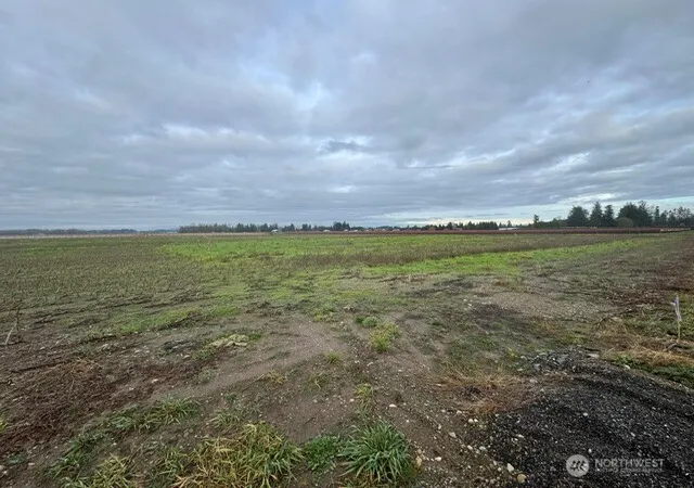 Land for sale at 1440 Birch Bay Lynden Rd, Lynden, WA 98264 | MLS# NWM2458596
