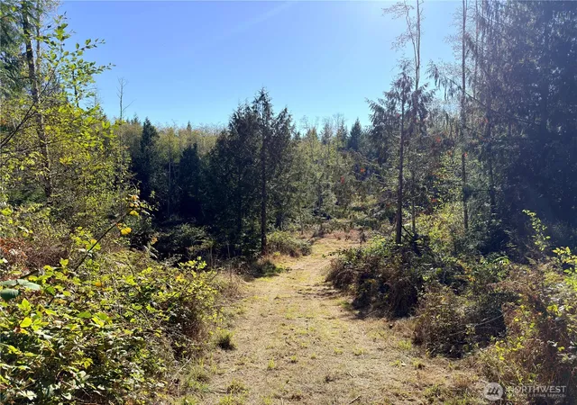 Photo 1 of Land for sale at 1 Xxx Lee Valley Rd, Quilcene, WA 98376 | MLS# NWM2458942 | Listing updated on 2026-09-30