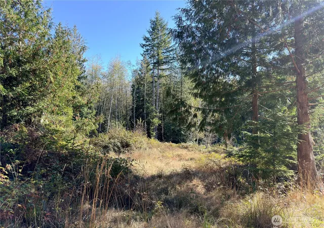 Photo 2 of Land for sale at 1 Xxx Lee Valley Rd, Quilcene, WA 98376 | MLS# NWM2458942 | Listing updated on 2026-09-30