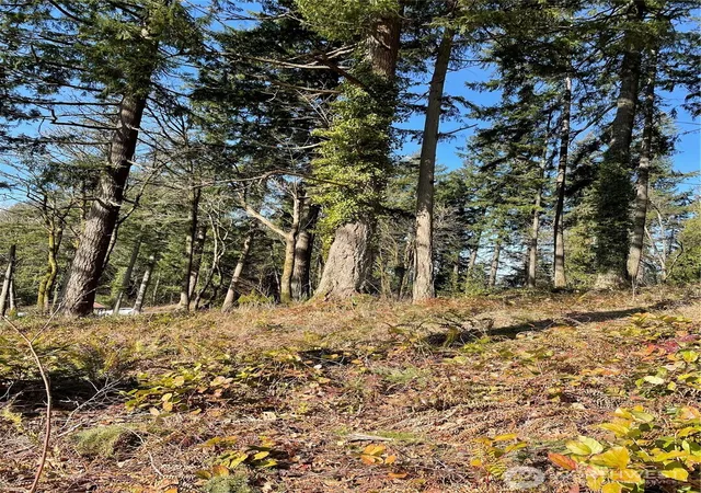 Photo 2 of Land for sale at 425 Se Hilltop Dr, Chehalis, WA 98532 | MLS# NWM2459300 | Listing updated on 2026-09-17