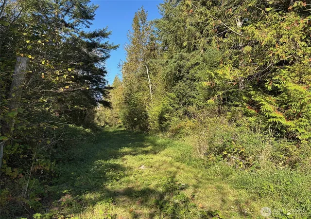 Photo 4 of Land for sale at 2046 Burk Rd, Blaine, WA 98230 | MLS# NWM2459663 | Listing updated on 2026-09-17