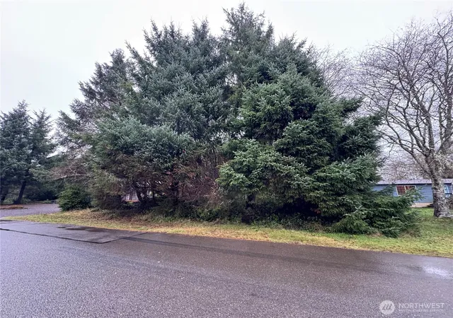 Photo 1 of Land for sale at 682 Copalis Ave Ne, Ocean Shores, WA 98569 | MLS# NWM2459880 | Listing updated on 2026-09-17
