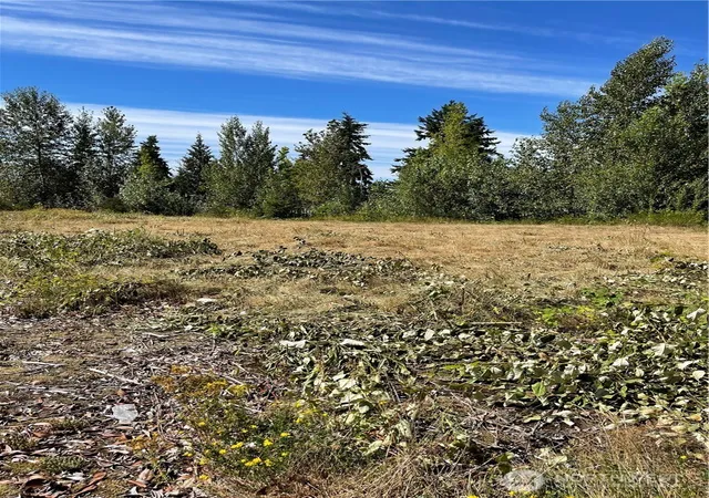 Photo 4 of Land for sale at 1726 Duvall Ave NE, Renton, WA 98059 | MLS# NWM2460037 | Listing updated on 2026-09-17