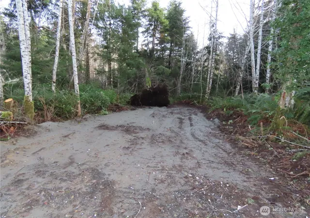 Photo 2 of Land for sale at 0 Oregon Ln, Aberdeen, WA 98520 | MLS# NWM2460444 | Listing updated on 2026-09-17