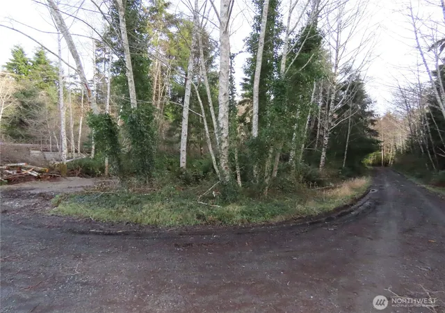 Photo 4 of Land for sale at 0 Oregon Ln, Aberdeen, WA 98520 | MLS# NWM2460444 | Listing updated on 2026-09-17