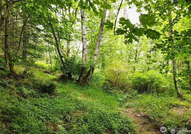 Photo 4 of Land for sale at 101 N Arnolds Way, Hoodsport, WA 98548 | MLS# NWM2460736 | Listing updated on 2026-09-17