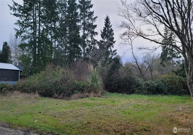 Land for sale at 0 Y Ln, Ocean Park, WA 98640 | MLS# NWM2460769