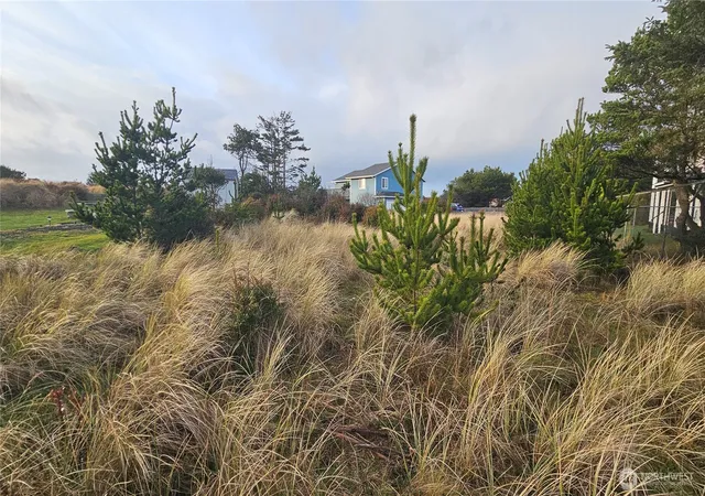 Photo 4 of Land for sale at 505 347th Place, Ocean Park, WA 98640 | MLS# NWM2460883 | Listing updated on 2026-09-22