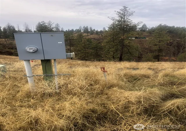 Photo 2 of Land for sale at 30991 Pine Hen Ln E, Davenport, WA 99122 | MLS# NWM2460938 | Listing updated on 2026-09-17