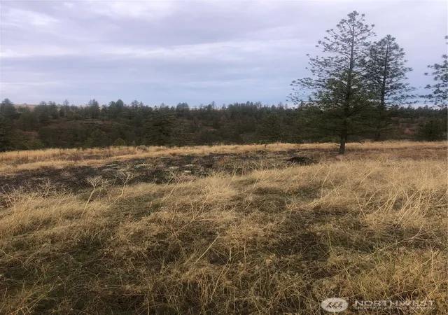 Photo 3 of Land for sale at 30991 Pine Hen Ln E, Davenport, WA 99122 | MLS# NWM2460938 | Listing updated on 2026-09-17