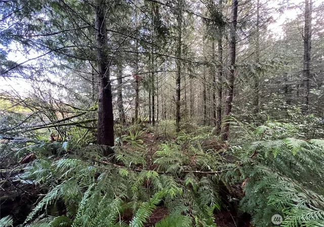 Photo 3 of Land for sale at 1 Xxx Snow Crk Rd, Quilcene, WA 98376 | MLS# NWM2461037 | Listing updated on 2026-09-17