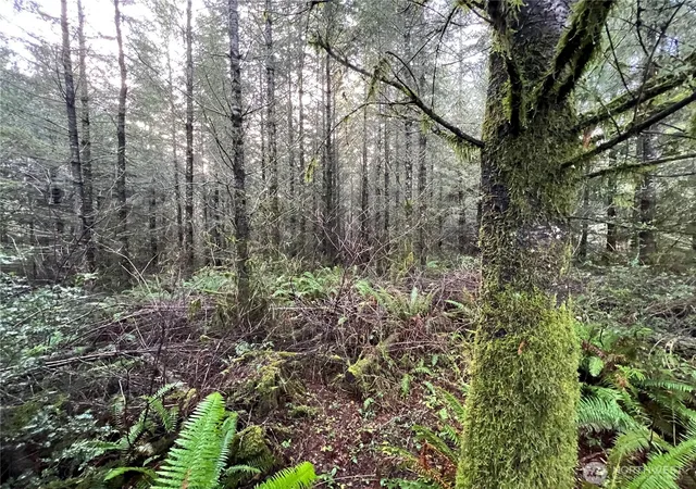 Photo 4 of Land for sale at 1 Xxx Snow Crk Rd, Quilcene, WA 98376 | MLS# NWM2461037 | Listing updated on 2026-09-17