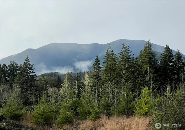 Photo 1 of Land for sale at 3 Xxx Snow Crk Rd, Quilcene, WA 98376 | MLS# NWM2461047 | Listing updated on 2026-09-17