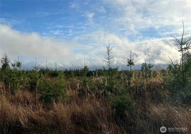 Photo 4 of Land for sale at 3 Xxx Snow Crk Rd, Quilcene, WA 98376 | MLS# NWM2461047 | Listing updated on 2026-09-17