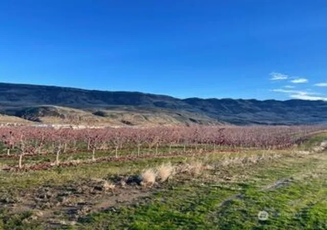 Photo 2 of Land for sale at 851 S Van Well Ave, East Wenatchee, WA 98802 | MLS# NWM2461387 | Listing updated on 2026-09-17