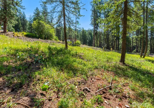 Photo 3 of Land for sale at 22125 Appaloosa Ln, Leavenworth, WA 98826 | MLS# NWM2461665 | Listing updated on 2026-09-17