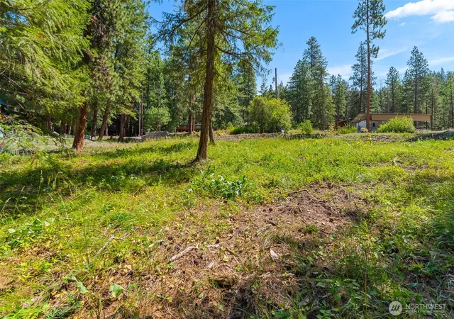 Photo 4 of Land for sale at 22125 Appaloosa Ln, Leavenworth, WA 98826 | MLS# NWM2461665 | Listing updated on 2026-09-17