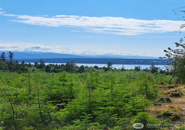 Photo 1 of Land for sale at 9999 Protection Ridge Rd, Port Townsend, WA 98368 | MLS# NWM2461687 | Listing updated on 2026-09-17