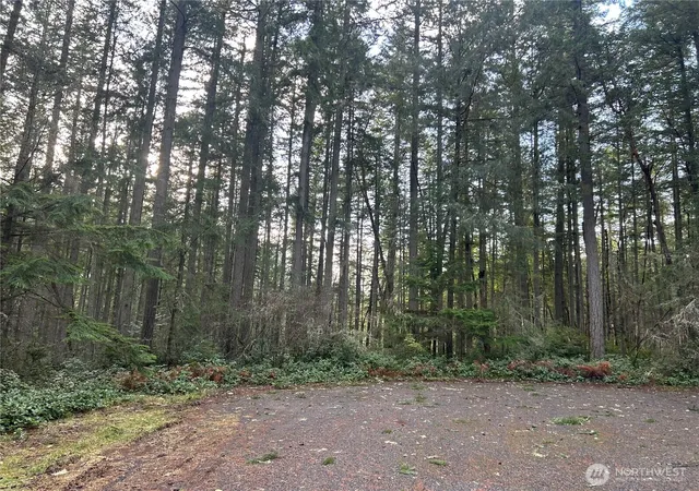 Photo 2 of Land for sale at 12914 E 101st Street Ct, Anderson Island, WA 98303 | MLS# NWM2461710 | Listing updated on 2026-09-17
