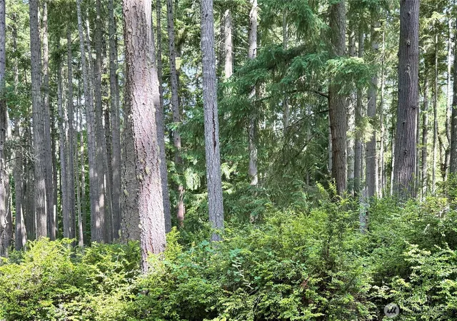 Photo 3 of Land for sale at 12914 E 101st Street Ct, Anderson Island, WA 98303 | MLS# NWM2461710 | Listing updated on 2026-09-17