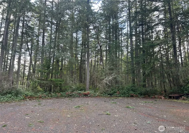 Photo 1 of Land for sale at 12918 E 101st Street Ct, Anderson Island, WA 98303 | MLS# NWM2461711 | Listing updated on 2026-09-17
