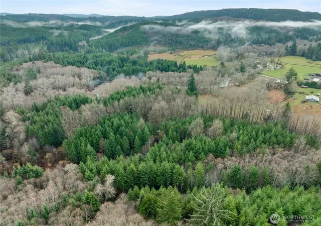 Photo 4 of Land for sale at 0 Fall River Rd, Cosmopolis, WA 98537 | MLS# NWM2463060 | Listing updated on 2026-09-17