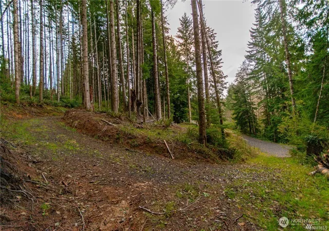 Photo 2 of Land for sale at 1 Lot Bison Run, Longview, WA 98632 | MLS# NWM2463086 | Listing updated on 2026-09-17