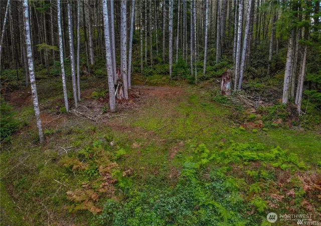 Photo 3 of Land for sale at 1 Lot Bison Run, Longview, WA 98632 | MLS# NWM2463086 | Listing updated on 2026-09-17