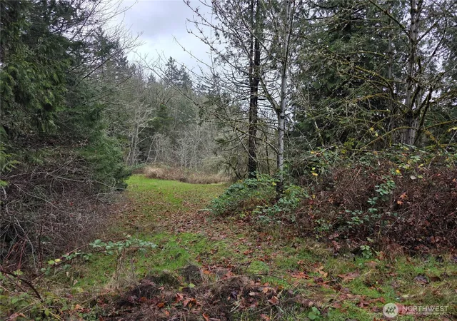 Photo 2 of Land for sale at 0 Silver Cvs, Silverlake, WA 98645 | MLS# NWM2464075 | Listing updated on 2026-09-17
