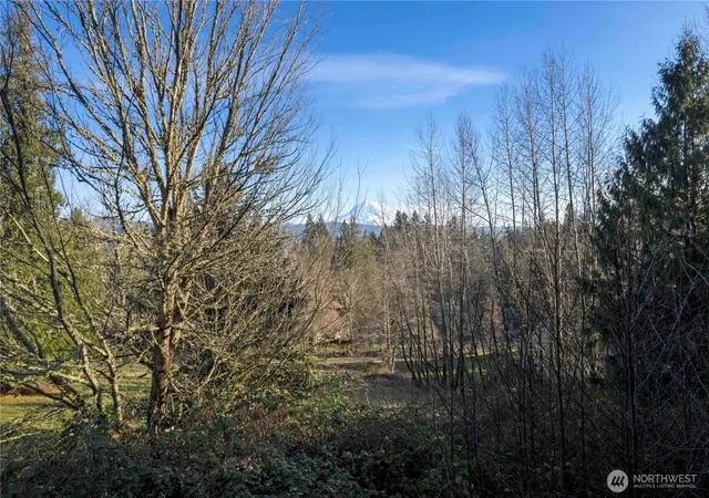 Photo 1 of Land for sale at 16018 229th Street E, Graham, WA 98338 | MLS# NWM2464143 | Listing updated on 2026-09-17