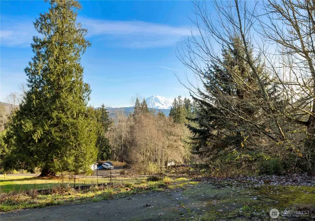 Photo 4 of Land for sale at 16018 229th Street E, Graham, WA 98338 | MLS# NWM2464143 | Listing updated on 2026-09-17