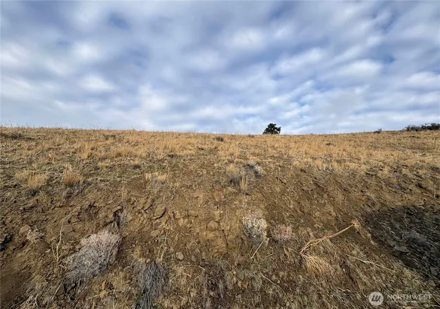 Photo 3 of Land for sale at 0 Xx Deer Crk Dr, Waterville, WA 98858 | MLS# NWM2464194 | Listing updated on 2026-09-17