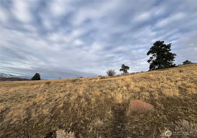 Photo 4 of Land for sale at 0 Xx Deer Crk Dr, Waterville, WA 98858 | MLS# NWM2464194 | Listing updated on 2026-09-17