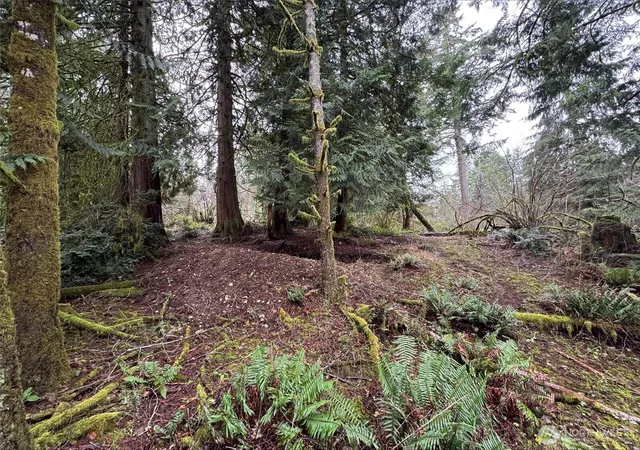 Photo 1 of Land for sale at 10110 Selma Cir, Anderson Island, WA 98303 | MLS# NWM2464540 | Listing updated on 2026-09-17